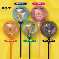 楽天市場】こびとづかん リトルハナガシラ（ホビー）の通販