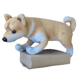 【ペットお悔やみおすすめ！】　ドライアイス　3kg【クール冷凍便】【最短翌日到着】（ブロック型）【スチロール箱付き】【年中無休】【日祝も発送】【ペットのお悔やみ】【猫・小型犬におすすめ】