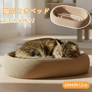 y}\~ő3000~OFFN[|zzzL ܂Ƃ ܌ L܌ TCU XNb`[ KK 芷\ ߂Ƃ RpX L Lxbh XgX ی` i{