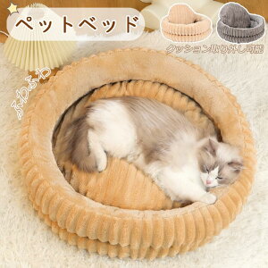 yVXI[vʊASi20OFFzg ӂӂ L xbh ~p  xbh ~ ^ 􂦂 ybgxbh ~  RۖhLh_j M Ódh~ pxbh Lpxbh xbhH~