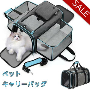 ySi|Cg10{zybgL[ ܂肽 obO V_[ LobN obN O[ ubN u[ L  ^ y ܂ ybgL[obO  ybgL[P