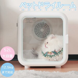 ybghC[ ybg@ ybgphC[  EL@ ybg   L }P[X É ybgphC[ hC[{bNX x hC[[  