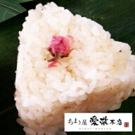 【雛祭】【ヒメノモチ使用】桜香る笹おこわ【桜】250グラム（5個入）お花見/行事食/おもてなし/お強/おこ…