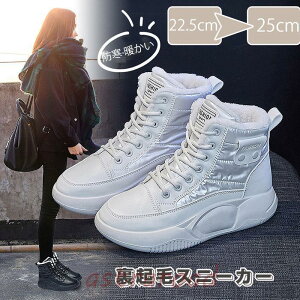 [gu[c fB[X ~ h h N ϖ  Xj[J[ N hC h ۉ _bhXj[J[ ~p y  