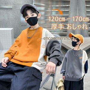 q g[i[  LbY j̎q ʊw    gbvX _Xߑ JWA 120 160 170cm Jbg\[ WjA