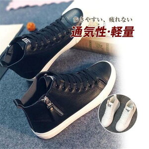 Xj[J[ fB[X C V[gu[c nCJbg TChWbv Xb| Vv PU U[  Ȃ  r 