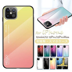 ViPhone12 mini 12 Pro 12 pro max ی P[X ACtH 12 mini 12 pro 12 pro max 9HKX Vv IV wʕی y ɔ h~ Jo[