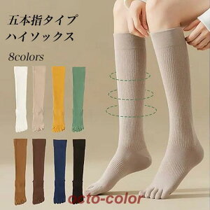 ܖ{w nC\bNX fB[X C hL ܖ{wnC\bNX u\bNX  5{w\bNX nC  z ȍ n ܖ{wC X|[c