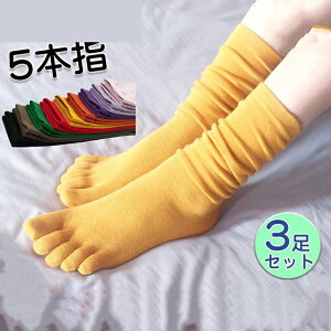 C fB[X 5{w nC\bNX 3Zbg  ₦ ΍ H ~  Vv x[VbN 킢  ^ R hL