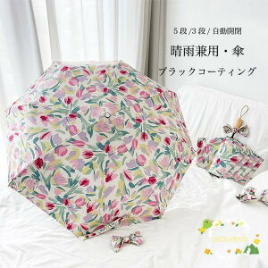 Au JP fB[X JP J ^b` `[bv P UVJbg P 蓮   ܂肽ݎP 3i ܂肽