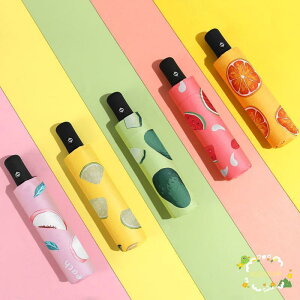 ���P �܂肽���� ���S�Ռ�100�� �܂肽���ݎP ���P ���f�B�[�X ����6�{�� 96cm �y�� UV�J�b�g �R���p�N�g �P �������H ���J���p ��v �����x