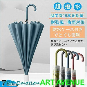 hP[Xt P P   JP WvP fB[X ɋP H 16{ Vv ܂ɂ Jp