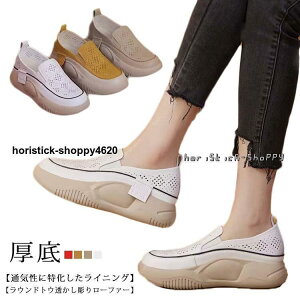 O V[Y fB[X  Xb|  q[5cm ₷ lԍHw [t@[ EhgD  ʋC Xj[J[