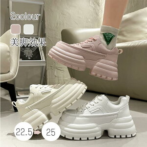 Xj[J[ fB[X C X|[cV[Y V[Y ~ r r ₷ Ȃ ɂȂ Vv ʋ ʊw 