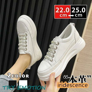 Xj[J[ fB[X {v EH[LO JWAV[Y nCq[ zCg Xb| C  ʊw ʋ  t H ~ AE^[