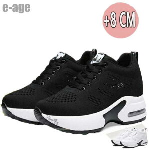 Xj[J[ fB[X V[Y V[NbgV[Y   Cq[ 8cm gAbv r Ȃ y jO EH[LOV[Y