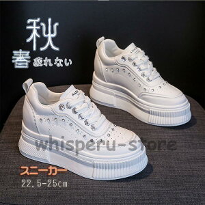 2023Xj[J[ fB[X C X|[cV[Y V[Y ~ r r ₷ Ȃ ɂȂ Vv ʋ ʊw 