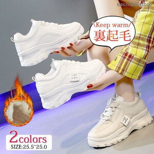 N fB[X Xj[J[  V[Y ~p {A ۉ g h ~C ʋ ʊw s O AEghA ₷