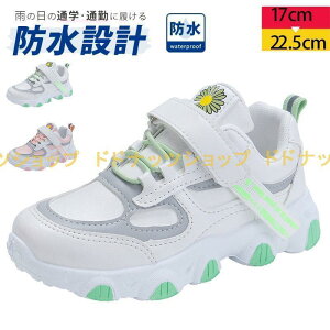 qC Xj[J[ J̓S ^ }WbN ̎qp h LbY WjA q ^C  ^ ʊw