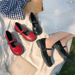 [t@[ vC fB[X pvX Xgbv  3.5cmq[  U[ Gi ubN  t@bV wC