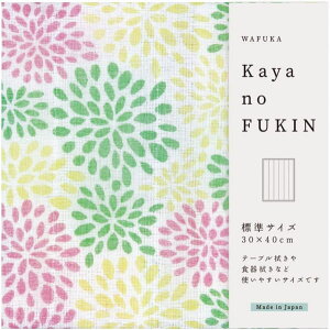 az ӂ Je ␶n ޗ ᒠn TYC-864 Mtg  v`Mtg ސE Ԃ