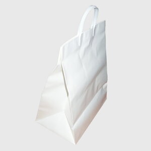 ChobO p[zCgorsN̂ΉsiuC_obO  o ʒ 񂰑 