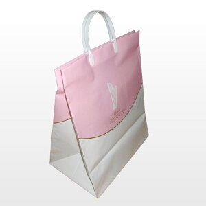 p[obO NVbN22̂ΉsiuC_obO  o ʒ 񂰑 