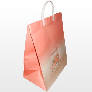 obO u[PM̂ΉsiuC_obO  o ʒ 񂰑 