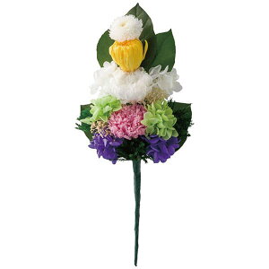 ԗi p Mtg    ݁E vU[uh(헖) C24599  ~ V~ TԂ ~ Au @ e{ ފ  䋟 r 