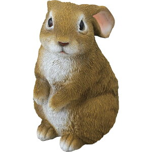 j j Mtg CeAyz Z[uC_Xg[ ~j SV-5868 oYj j wj lj TԂ Ԃ V v[g