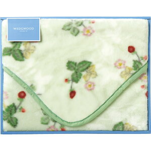 j j Mtg ߗG݁yz EFbWEbh ChXgx[ ANЂ|(щH) O[ FQ88400050G oYj j wj lj TԂ 