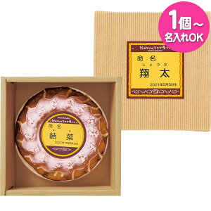 Mtg 1薼  E NASŨXN vP[L() NSP-20 [10~12(yj) XC[c Ăَq Zbg lߍ킹 oYj