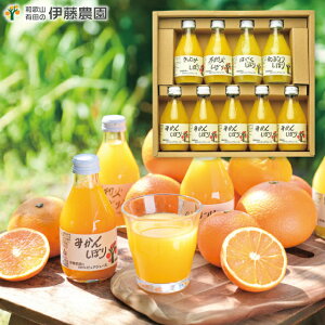 W[Xyzɓ_ 100%sAW[X9{ݔ׃Zbg 50709gs oYj j Cj wj TԂ Ԃ j a