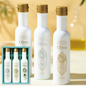 yz MVY GNXgo[WI[uICMtg A-567 Hp  Mtg Zbg lߍ킹 oYj j j Cj wj TԂ Ԃ j