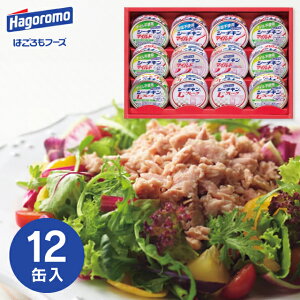 yz͂ V[`LMtg SET-30B Mtg Zbg O oYj j wj TԂ Ԃ v[g