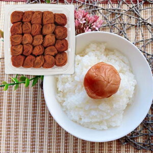 Hi JAa̎R_A IB썂~ V~400g 2162518 ~ oYj j Cj wj TԂ Ԃ j v[g