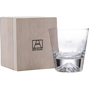 Mtg OX  E cq ]ˏɎq xmR bNOX(ؔ) ƍ TGS-19T-R4 j Ԃ j v[g ii ܕi LOi j ij \ 