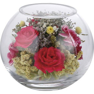 j j Mtg iyz {gt[{[ 1000124718  oYj j wj lj TԂ Ԃ V a j