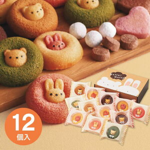 yzAj}h[ic 12 ANM-30 َq܂ XC[c َq  lߍ킹 Ԃ Mtg j oYj j j wj yY ̂ bZ[WJ[h