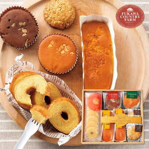 y Ez[Jg[t@[ LgXC[cZbg B FFC-02A َq܂ XC[c َq j Ԃ oYj j j 