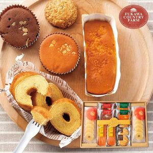 y Ez [Jg[t@[ LgXC[cZbg D FFC-04A َq܂ XC[c َq j Ԃ oYj j j 