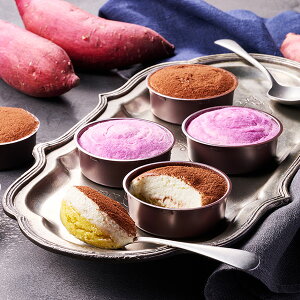 Ε XC[c  [J[ F{ Fƃ`[Y2w̃P[L SIA-01A 㕥Ήsi Ε 䈥A A    ~Mtg ~ Mtg 