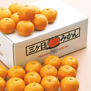 Ε t[c  [J[ ÉY O݂[2.5kg] fw-mib2.5k 㕥Ήsi Ε 䈥A A    ~Mtg ~ Mtg  N 