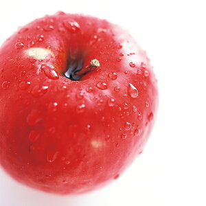 Ε t[c  [J[ XY Tӂь ̌b ASR-E0S 㕥Ήsi Ε 䈥A A    ~Mtg ~ Mtg  N 