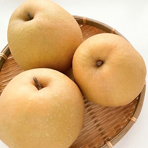 Ε t[c  [J[ 挧Y H[3.5kg] AF-ON3.5kg 㕥Ήsi Ε 䈥A A    ~Mtg ~ Mtg  N N