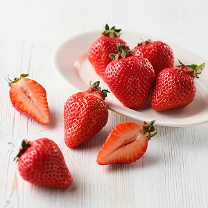 Ε t[c  [J[ ܂ AMO-2 㕥Ήsi Ε 䈥A A    ~Mtg ~ Mtg  N N