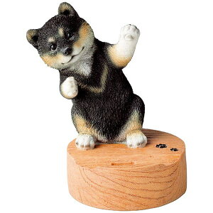  E X}zX^h Vo QY-218GBK oYj j j Cj wj lj TԂ Ԃ  蕨  ei ii