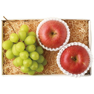 Ε t[c  [J[ VC}XJbgƃTӂl 㕥Ήsi Ε 䈥A A    ~Mtg ~ Mtg  N 