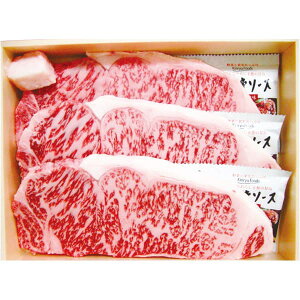  [J[ ꋍ ɌT[CXe[L 㕥Ήsi   j Ԃ oYj j TԂ  