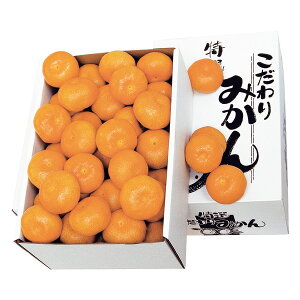 Ε t[c  [J[ _Cʉ 艷B݂ 㕥Ήsi Ε 䈥A A    ~Mtg ~ Mtg  N N